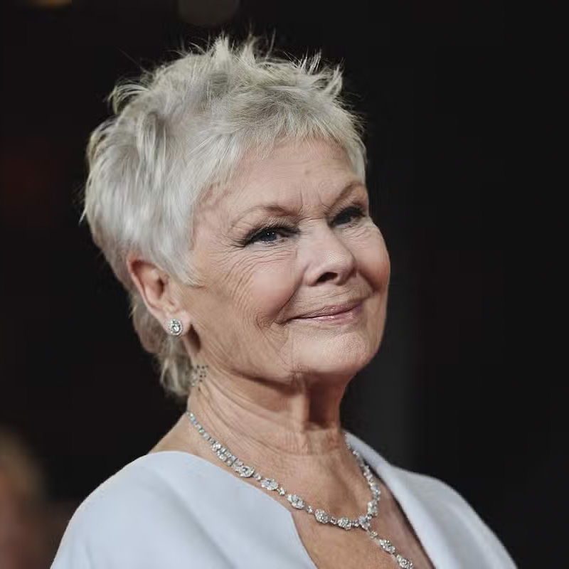 Dame Judi Dench, <br>CH, DBE, FRSA